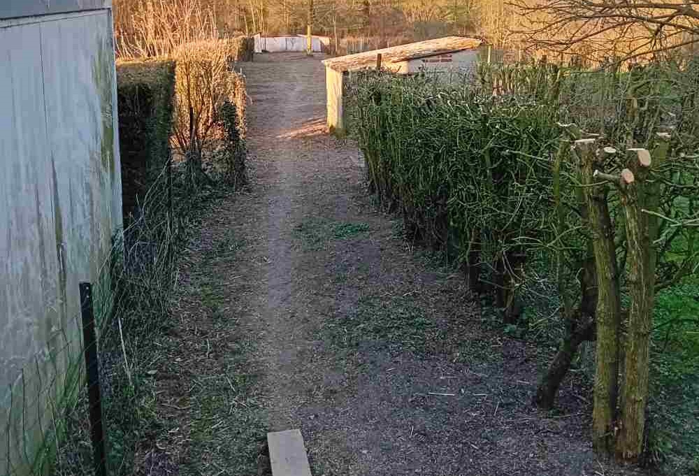Entretien de jardin Le Quesnoy